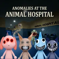 Play Game Anomalies at the Animal Hospital