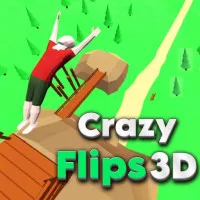 Play Game Crazy Flips 3D