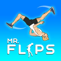 Play Mr Flip now!