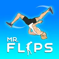 Play Game Mr Flip